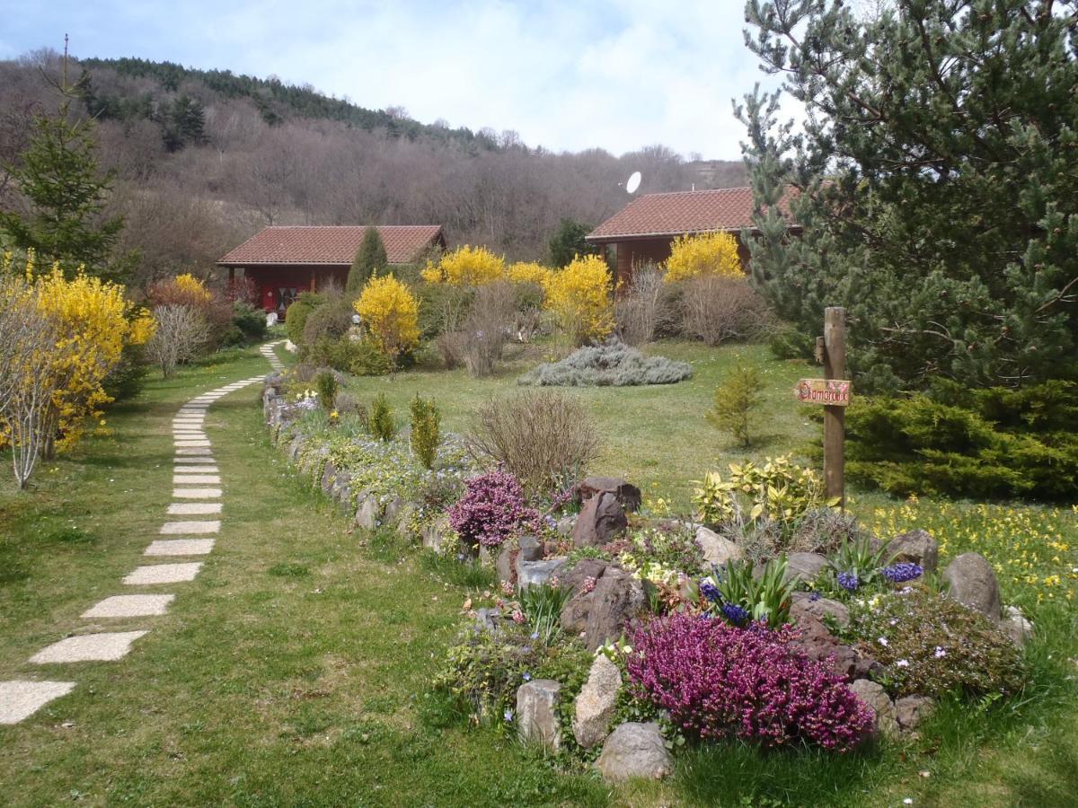 Les Chalets De La Vigne Grande Saint-Floret المظهر الخارجي الصورة
